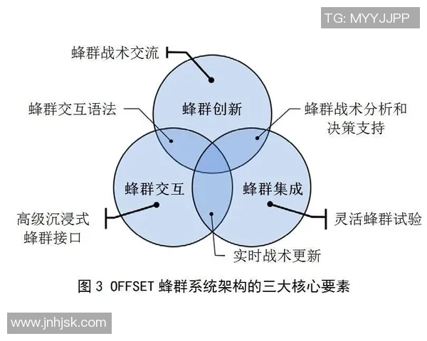 深圳排球队的节奏分析与战术创新探讨